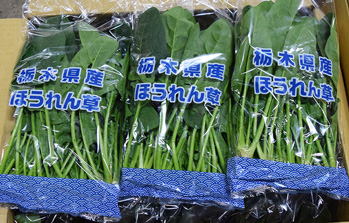 ほうれん草