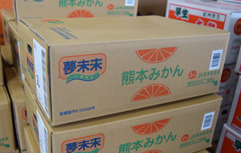 ミカン