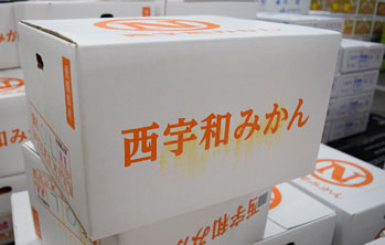 みかん