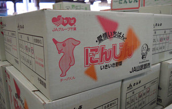 人参