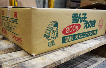 えのき