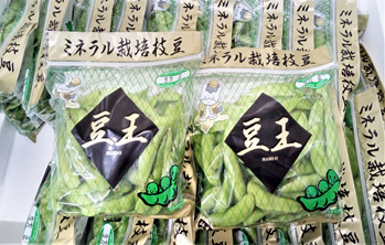 豆王