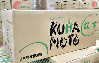 長茄子